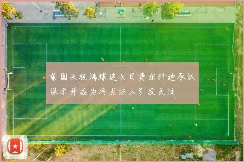 前国米极端球迷头目费尔科迪承认谋杀并成为污点证人引发关注